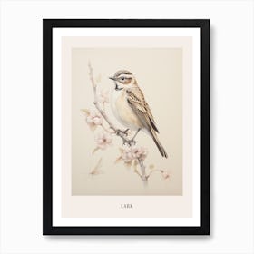 Vintage Bird Drawing Lark 1 Poster Art Print