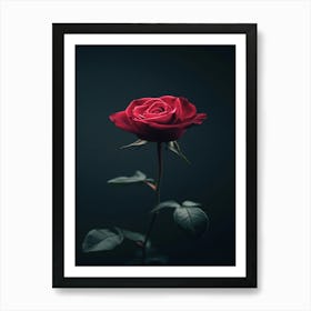 Rose On A Dark Background Art Print