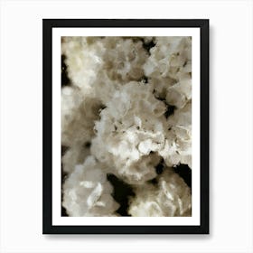 White Hydrangeas Flowers Oil Painting Art Print