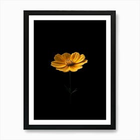 Single Yellow Flower 10 Art Print