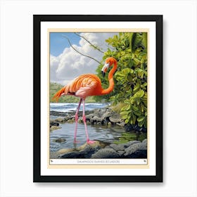 Greater Flamingo Galapagos Islands Ecuador Tropical Illustration 7 Poster Art Print