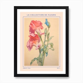 Sweet Pea 3 French Flower Botanical Poster Art Print