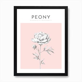 Peony Print Modern Flower Poster Bamber Prints Art Print