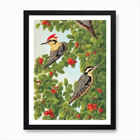 Woodpecker 2 Haeckel Style Vintage Illustration Bird Art Print