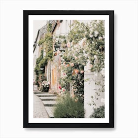 Rose Covered Street Art Print