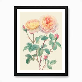 English Roses Painting Sketch Style 1 Art Print