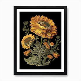 Calendula 1 Floral Botanical Vintage Poster Flower Art Print