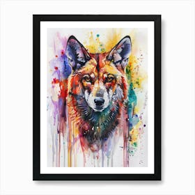 Dingo Colourful Watercolour 4 Art Print