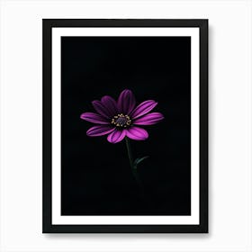 Purple Flower 4 Art Print