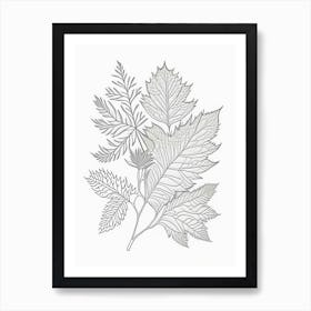 Curry Leaf Herb William Morris Inspired Line Drawing 3 Art Print
