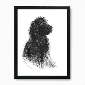 Spanish Water Dog Dog Charcoal Line 2 Art Print