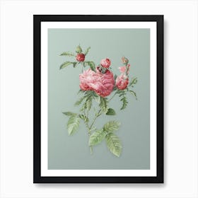 Vintage Cabbage Rose Botanical Art on Mint Green n.0526 Art Print
