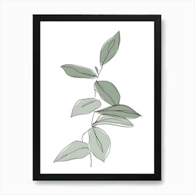 Eucalyptus Leaf 2 Art Print