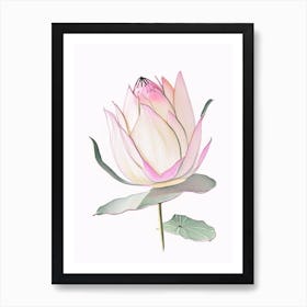 Pink Lotus Pencil Illustration 2 Art Print