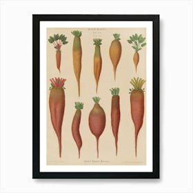 Beets 3 Art Print