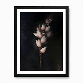 Dark Gothic Flower Of The Night Art Print