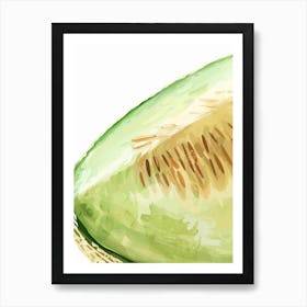 Honeydew Melon Close Up Illustration 4 Art Print