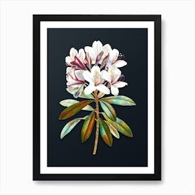 Vintage Common Rhododendron Botanical Watercolor Illustration on Dark Teal Blue n.0582 Art Print