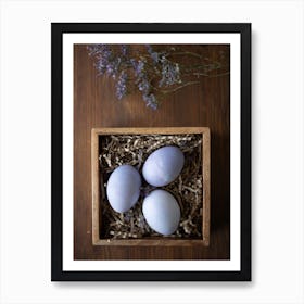 Easter Eggs 147 Art Print