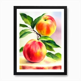 Nectarine Italian Watercolour fruit Art Print