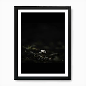 Single Flower In The Dark 79 Art Print