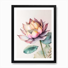 Lotus Flower Pattern Watercolour Ink Pencil 2 Art Print