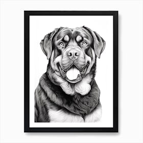 Rottweiler Dog, Line Drawing 2 Art Print