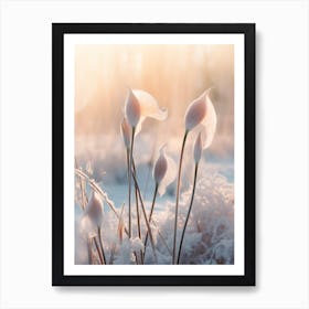 Frosty Botanical Calla Lily 2 Art Print