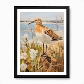 Bird Painting Dunlin 1 Art Print