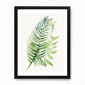 Lady Fern 2 Watercolour Art Print