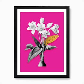 Vintage Crinum Giganteum Black and White Gold Leaf Floral Art on Hot Pink Art Print