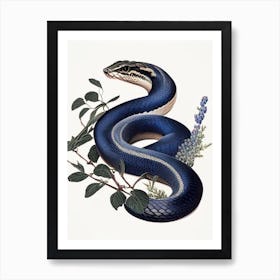 Texas Indigo Snake 1 Vintage Art Print