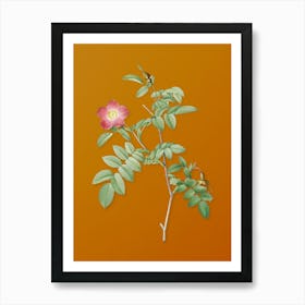 Vintage Pink Alpine Rose Botanical on Sunset Orange n.0726 Art Print