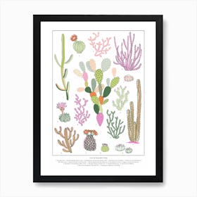 Cacti Botanical Art Print