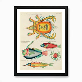 Colourful And Surreal Illustrations Of Fishes And Crabs Found In The Indian And Pacific Oceans, Louis Renard(65) Art Print