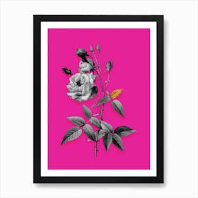 Vintage Common Rose of India Black and White Gold Leaf Floral Art on Hot Pink n.0972 Art Print