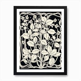 B&W Plant Illustration Tradescantia Tricolor Art Print