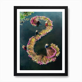 Harvesting Water Lilies V15 Art Print