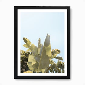 Tropical Banana Leaves Art Print