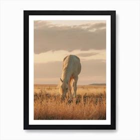 Palomino At Sunset Art Print