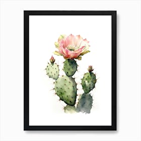 Notocactus Cactus Watercolour Drawing 2 Art Print