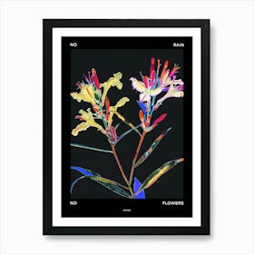 No Rain No Flowers Poster Statice 3 Art Print