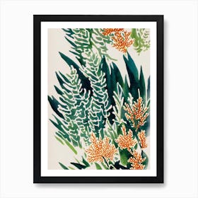 Acropora Granulosa Vintage Graphic Watercolour Art Print