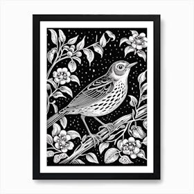 B&W Bird Linocut Hermit Thrush 1 Art Print