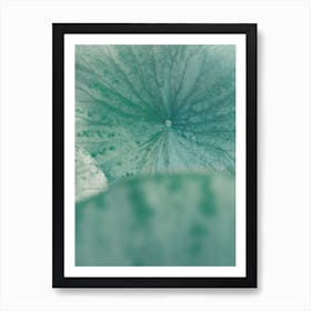 Lotus Leaf Art Print