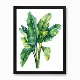 Banana Leaf 14 Art Print