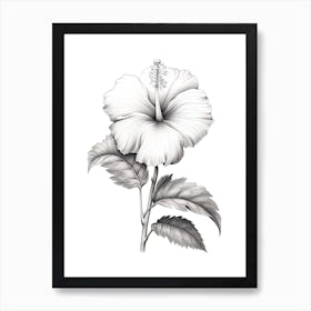 Hibiscus Flower Vintage Botanical 2 Art Print