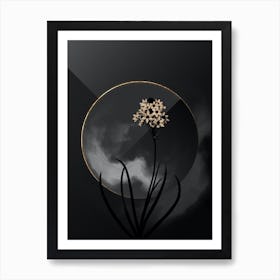 Shadowy Vintage Arabian Starflower Botanical in Black and Gold 1 Art Print