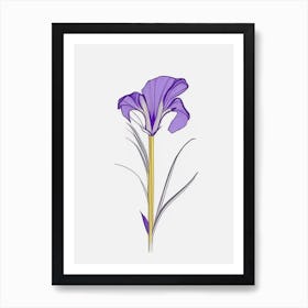 Iris Floral Minimal Line Drawing 3 Flower Poster