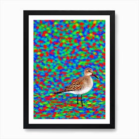 Dunlin Yayoi Kusama Style Illustration Bird Art Print